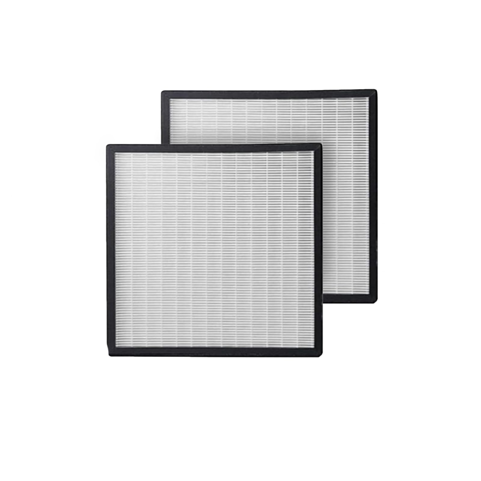 Filtro HEPA H13 per deumidificatore D16, confezione da 2 (filtro)