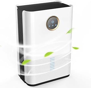 dehumidifier for basement bathroom RV home closet indoor indoor 33.8 oz water tank（800 sq.ft） small dehumidifiers safe mini drainage auto-off odor removal 2 duak-core portable dehumidifier 5 colorful lights remove moisture quite silent car dehumidifier dry sleep