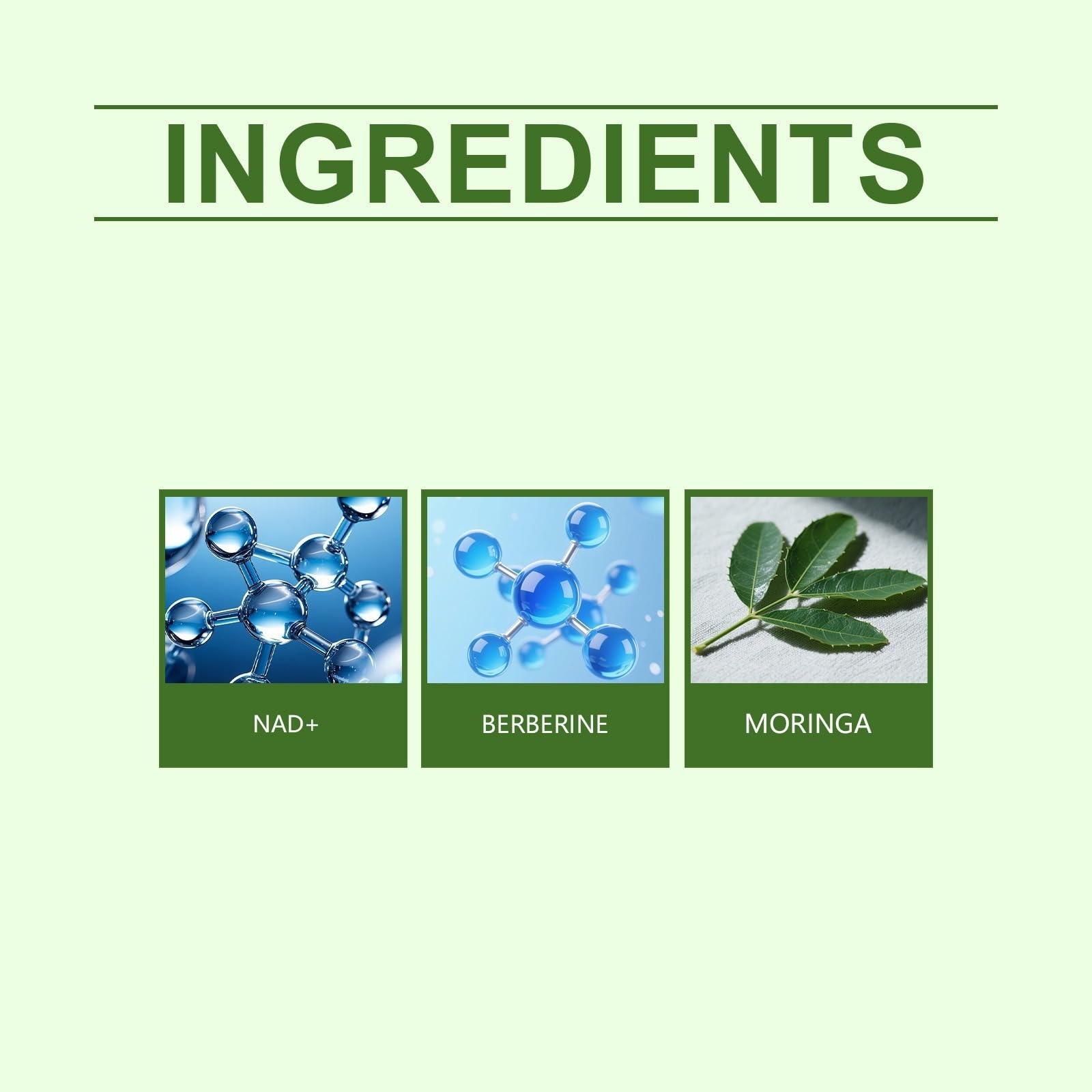 Parche Nano Microneedle Moringa Berberine Parche Adelgazar 10 en 1, Parche adelgazante Quema Grasa, Reafirmante y Metabolismo, Portátil, Vientre Plano, Fácil de Aplicar, Invisible Cómodo