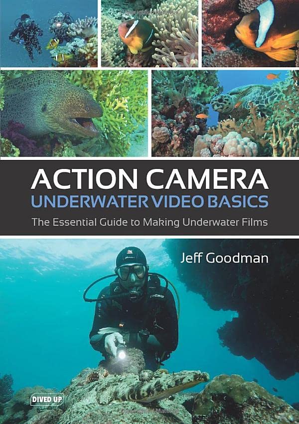 Top 10 Best Underwater Camera For Video Reviews & Buying Guide Katynel