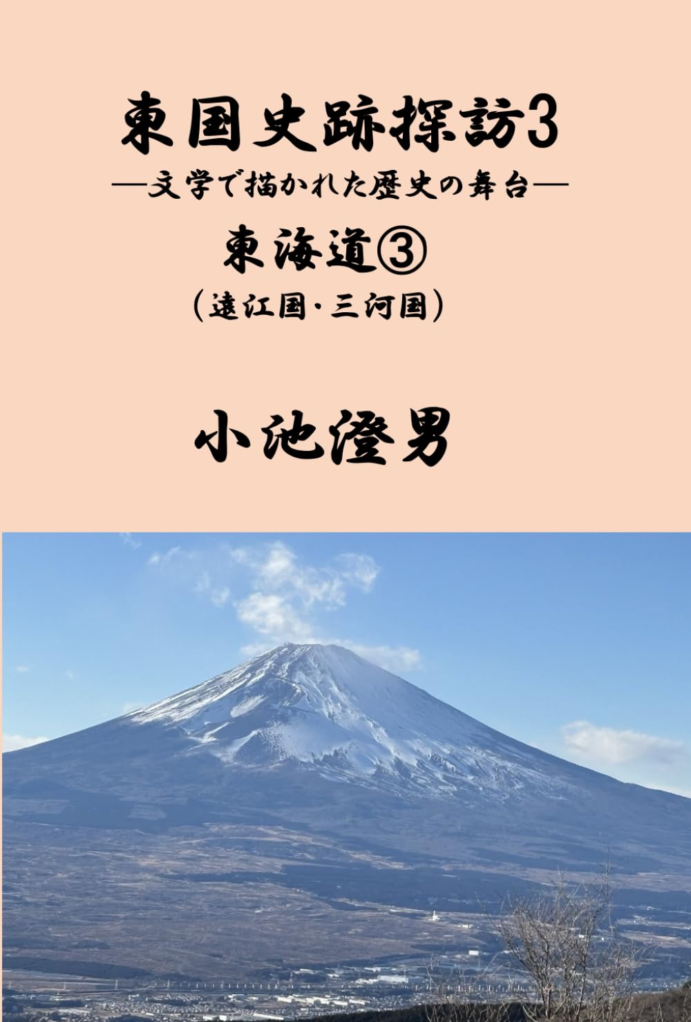 東国史跡探訪3: ー文学で描かれた歴史の舞台ー