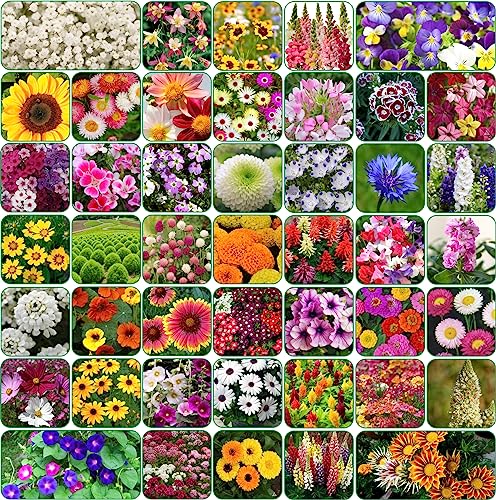 Image of Aero Seeds 90 variety(45 flower and 45 vegetable) seeds combo pack with instruction manual.