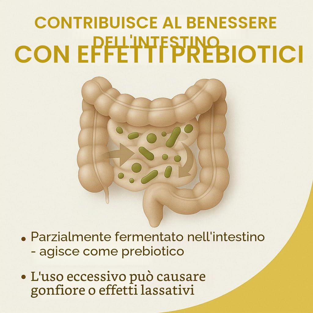 GiDeli Xilitolo di betulla 10 kg in secchio - Sostituto dello zucchero