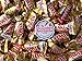 Twix Caramel Mini Bars - 1.5 lbs of Fresh Delicious Assorted Bulk Mini Bars of Candy with Refrigerator Magnet