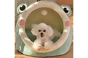 Frog Shape Cat Bed: Ultimate Comfort for Indoor Cats and Small Pets