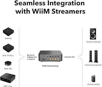 新品未開封　WiiM Vibelink Amp Amazon.com: WiiM Vibelink Amp | 100W Power Amplifier with