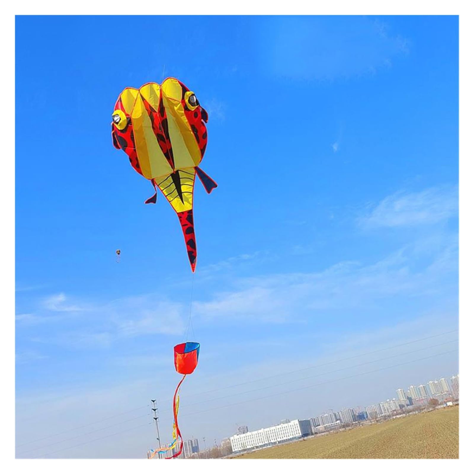Amazon.com: HEXEH 2M 3D Software Tadpole Kite， Boneless Animal