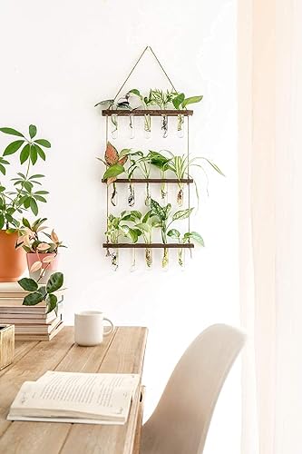 Miniatura 2 de Mkono Mini jarrones de tubo de ensayo de 3 niveles y doble capa para colgar en la pared de cristal, estación de propagación, decoración de pared de