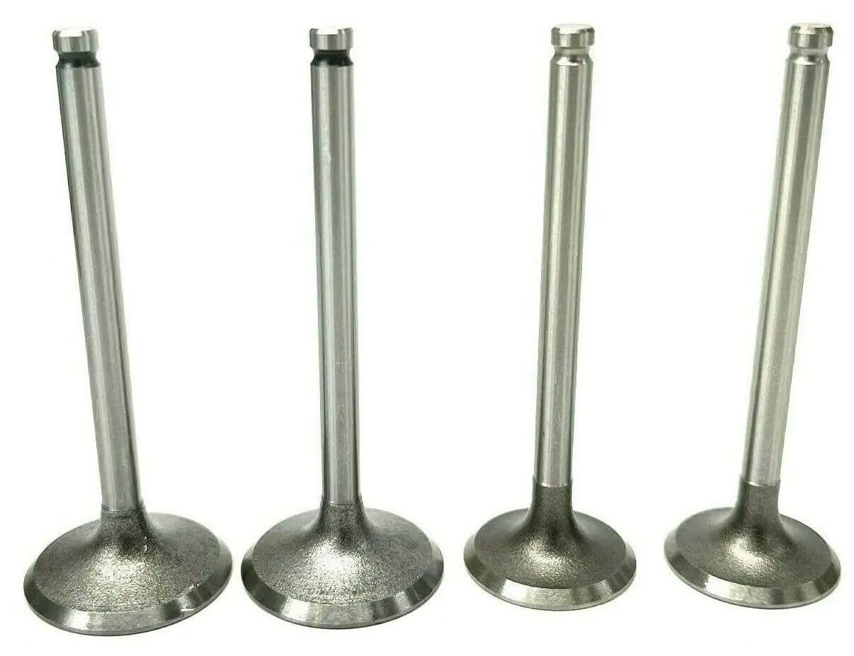 Amazon.com: Lil Red Barn Intake & Exhaust Valves Compatible with