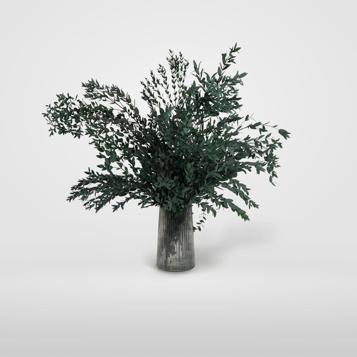 BLAINE Parvifolia Verde Preservado Decoración Ideal para Ramos de Flores Secas con Hojas Naturales Que No Necesita Mantenimiento 70 cm