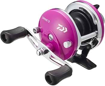 Daiwa 両軸リール　2点　無名のベイトリール　1点　　3点セット販売 Amazon | ダイワ(DAIWA) 両軸リール 22 コロネットII パープル
