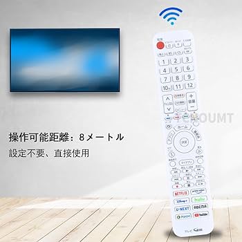 レコーダー Panasonic TH-LF1L + N2QBYA000063 61r5E4szLWL._UF350,350_QL80_.jpg