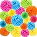 ZJHAI 20pcs Rainbow Paper Pom Poms and Paper Fans, 5 Colors, for Shop Wedding Party Decorations