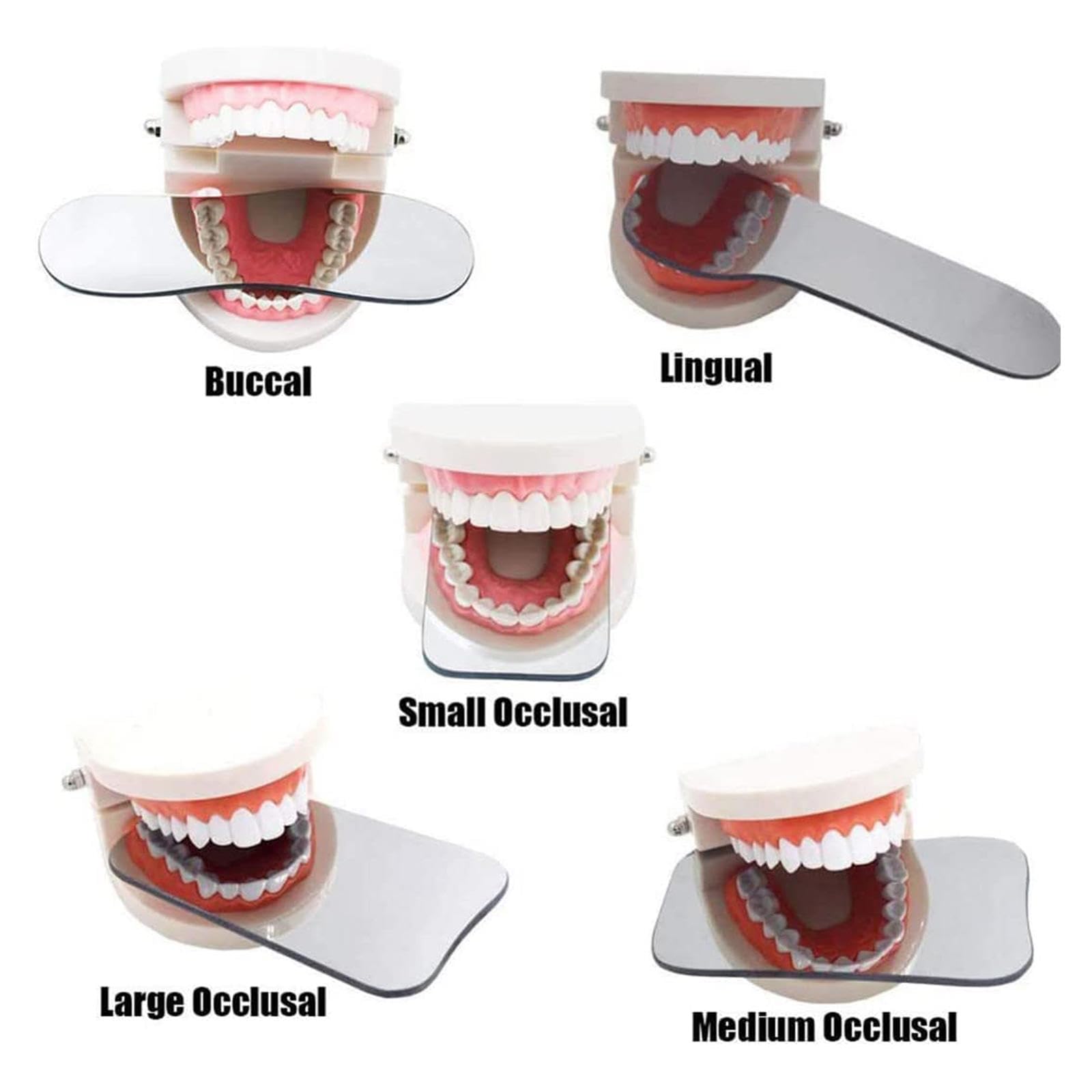 Miroir Intra-oral, 5 Pièces Photographiques Intra-orales Orthodontiques Dentaires, Miroir Réflecteur à 2 Côtés pour Verre Orthodontique de Dentiste de Clinique