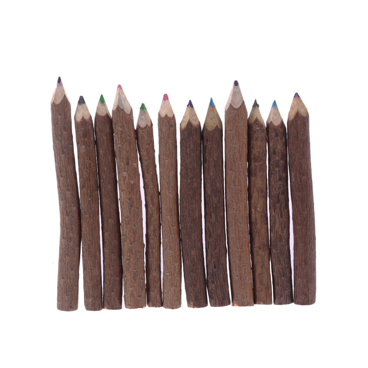 LALAFINA 24pezzi Matite Colorate Di Ramo Per Disegno Artistico Matite Di Bark Per Creatività e Attività All Aperto Per Insegnanti