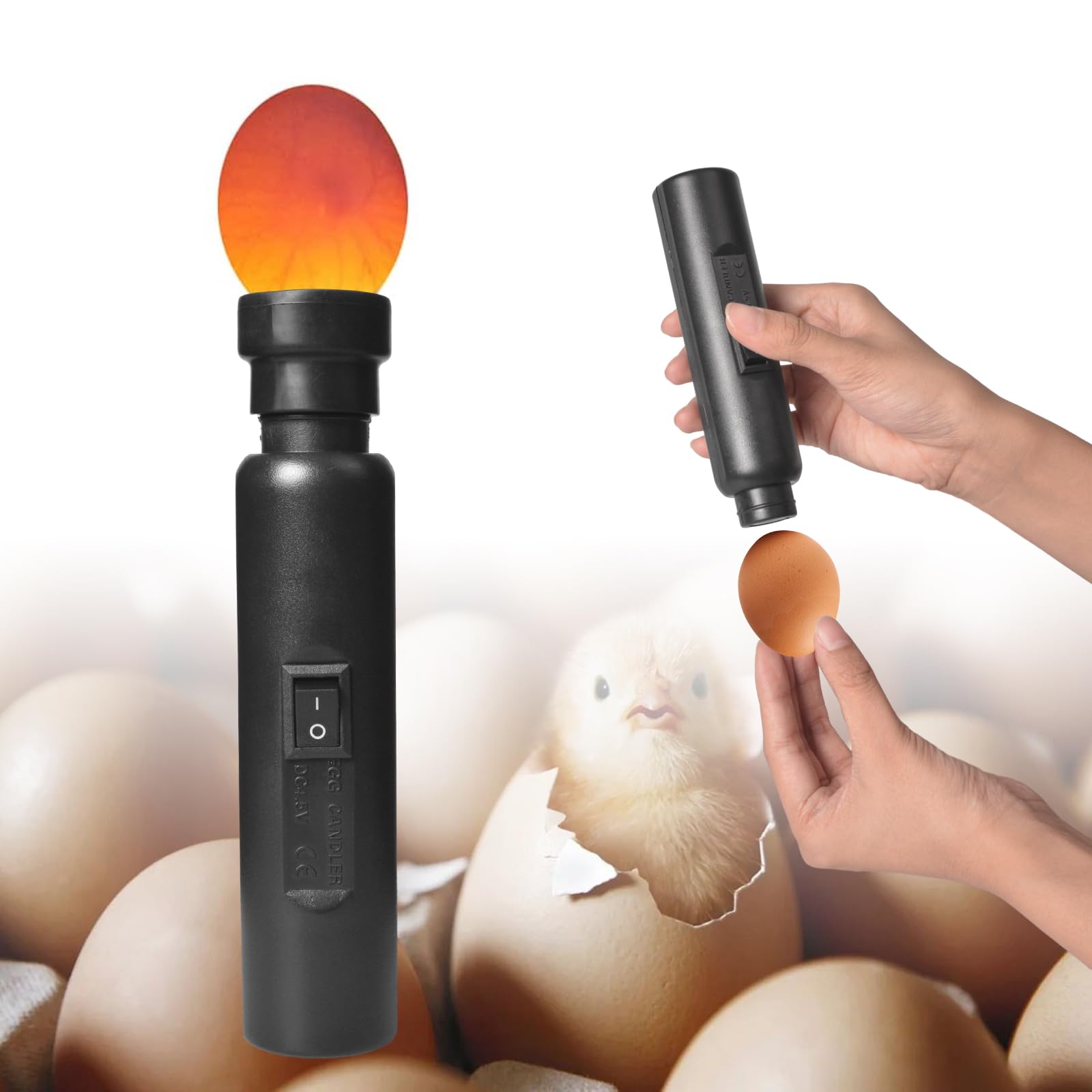 Testeur D'œuf à LED Portable, Mire Oeuf Lampe Mire oeuf Testeur D'oeufs, Egg Candler Candling Lampe pour Vérifier l’Incubation d’Oeuf Caille en Incubateur œuf œufs de Canard œuf D'oie D'Oiseau