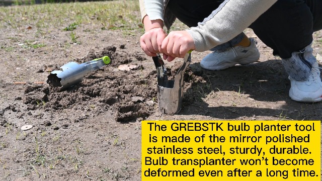 Transplantador de Bulbos de Acero Inoxidable GREBSTK miniatura 7