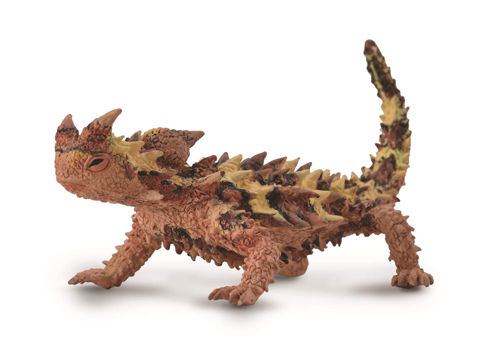 Amazon.co.jp: CollectA (コレクタ) モロクトカゲ リザード フィギュア