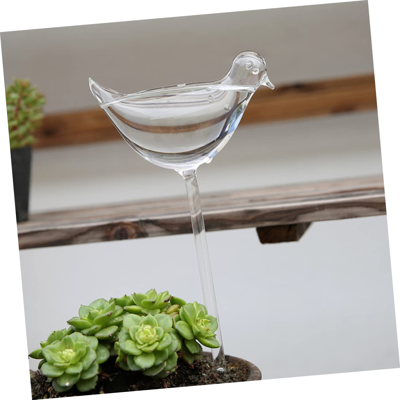 TOYANDONA Lazÿer 4 Pièces Globes à Arrosage Automatique en Verre Borosilicaté pour Plantes d'Extérieur, Arrosage des Bulbes, Usage Facile