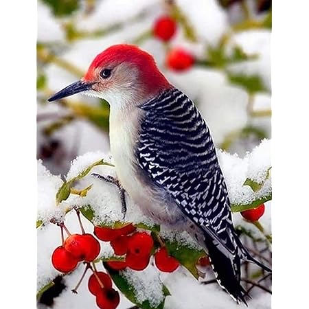 Idées Pour Une Déco De Garden Party À Faire Soi-Même