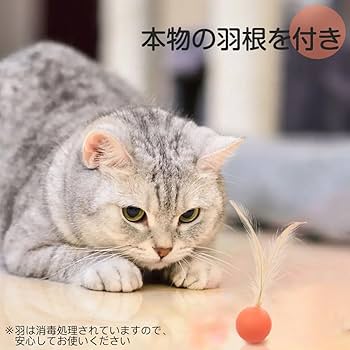Amazon | Mikankawa 猫おもちゃ 羽付きボール おもちゃボール 3枚