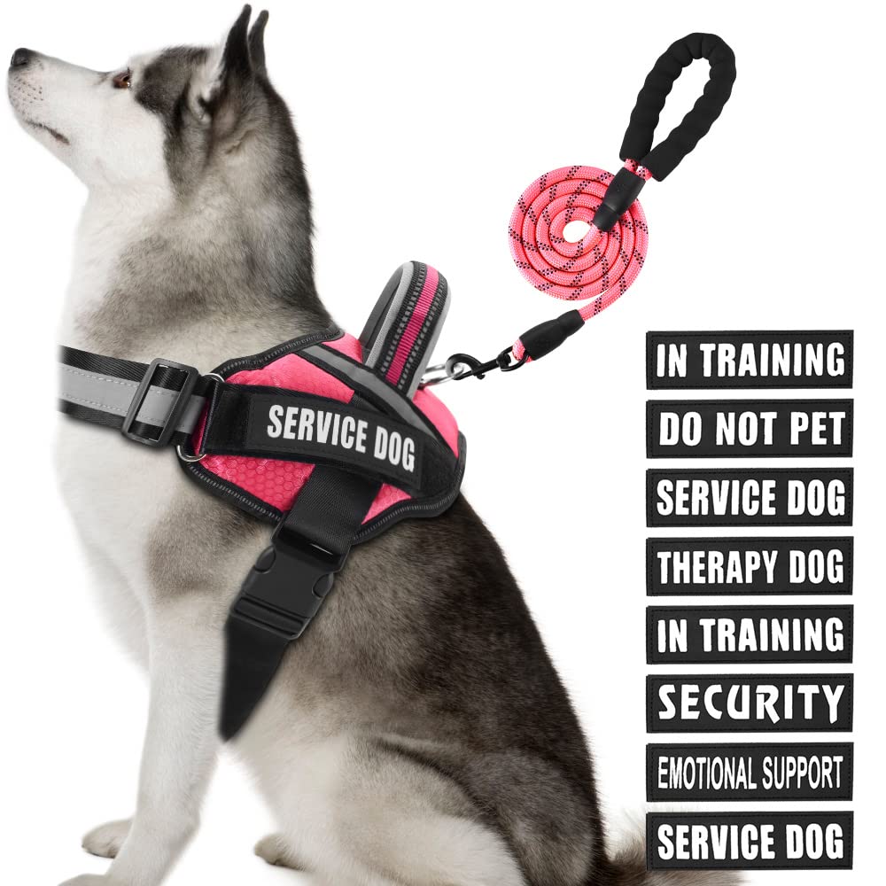 Service Dog Vest Harness and Leash Set, Animire in Training Dog Harness with 10 Dog Patches, Reflective Dog Leash with Soft Padded Handle for Small, Medium, Large, and Extra-Large Dogs (Rosy,XL) — image 1