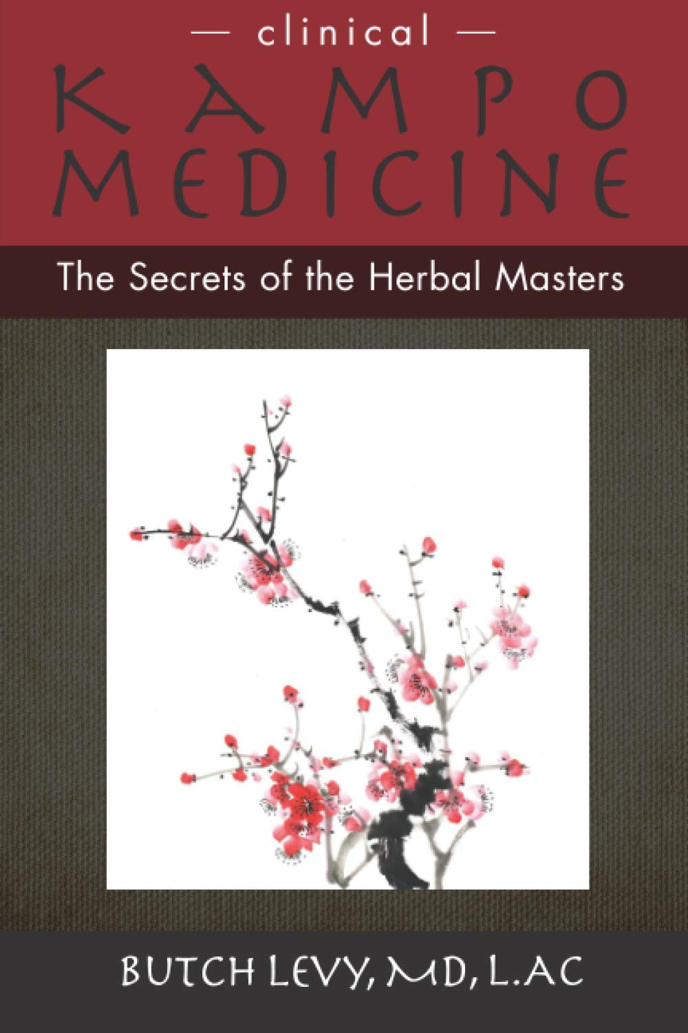Clinical Kampo Medicine: The Secrets of the Herbal Masters