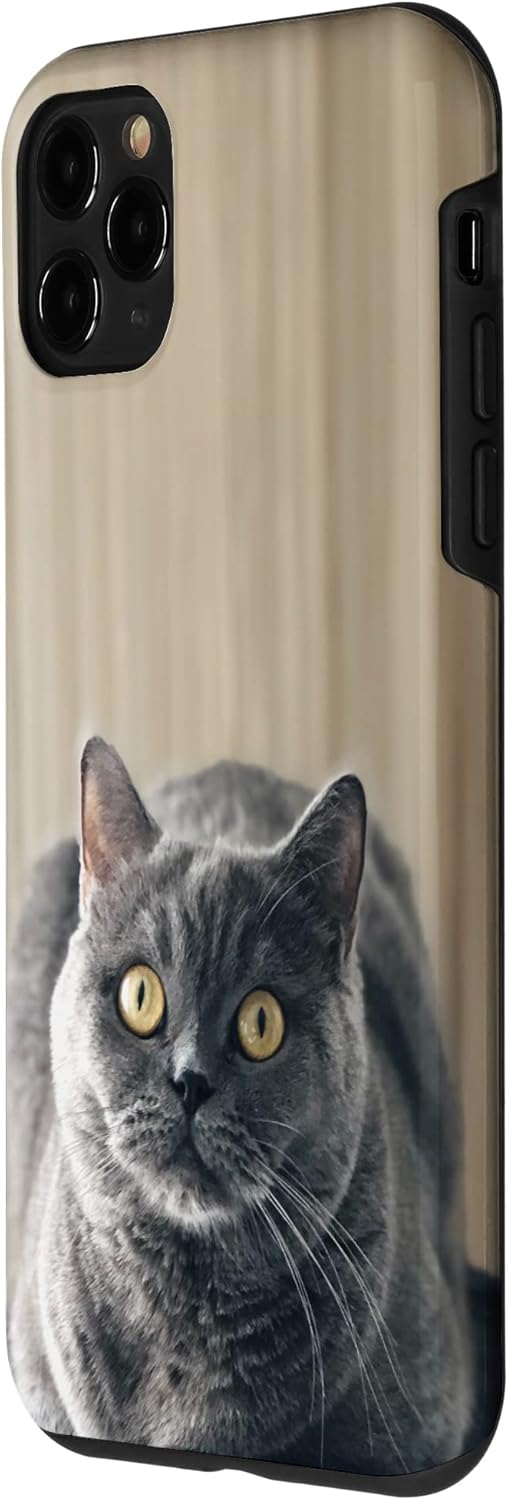 Amazon Iphone 11 Pro ブリティッシュ ショートヘア キャット グレー スマホケース 家電 カメラ オンライン通販
