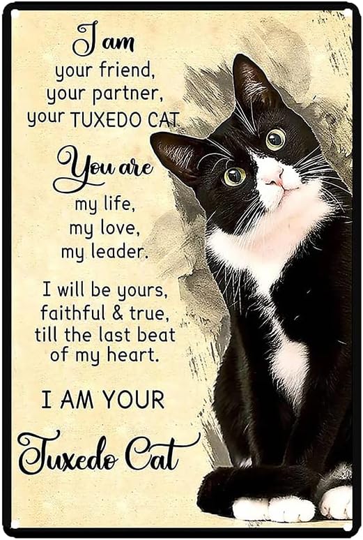 Letreros de metal de hojalata con texto en inglés "I Your Friend Your Partner Your Partner Your Tuxedo Cat"  Cartel de metal para pared con texto en