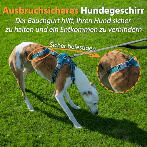 Huntboo Sicherheitsgeschirr Hund Ausbruchsicher, Panikgeschirr für Hunde, Anti Zug Hundegeschirr, Reflektierend, Verstellbare, Leichte Weste für kleine, mittelgroße und große Haustiere (Blau,M)