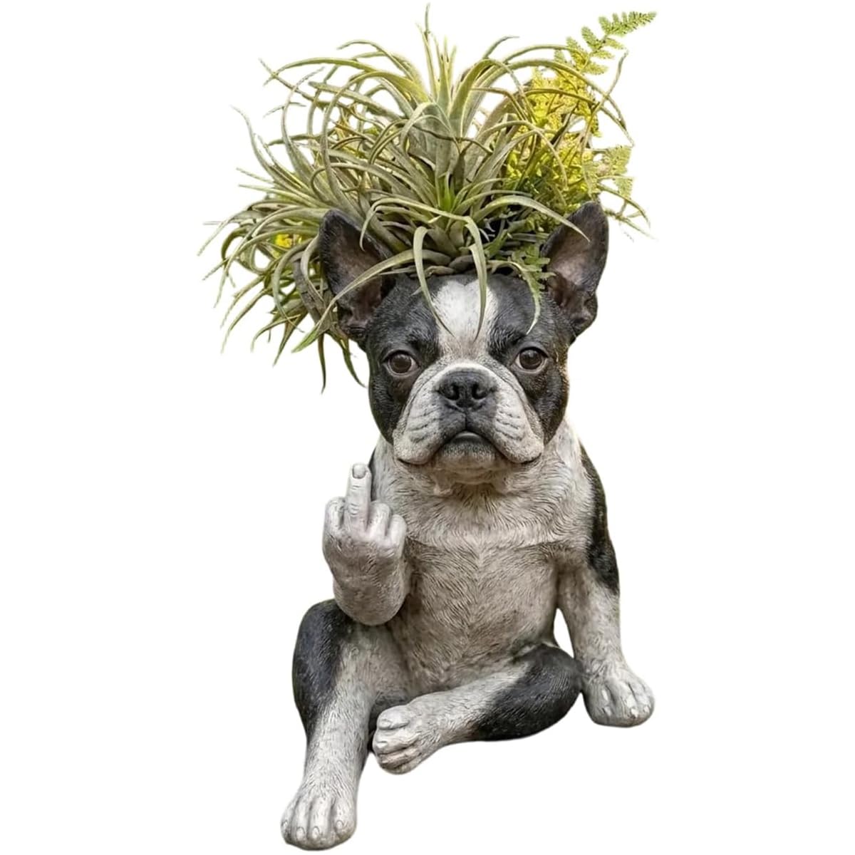 Boston Terrier Planter, Funny Dog Flower Pot with Middle Finger Gesture, Frenchie Succulent Planter Decorative Garden Statue, Humorous Indoor Outdoor Home Decor Gift (1PCS)