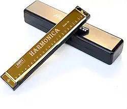 Chave de gaita de metal de 24 furos de fileira dupla de C - órgão de boca diatônica de polifonia com capa, para blues folk jazz - ouro