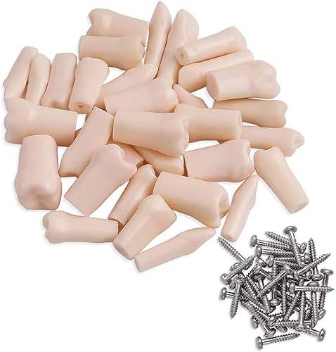 Miniatura 2 de 32 piezas de dientes extraíbles para dientes Typodont modelo compatible con Kilgore Nissin para enseñanza, estudio