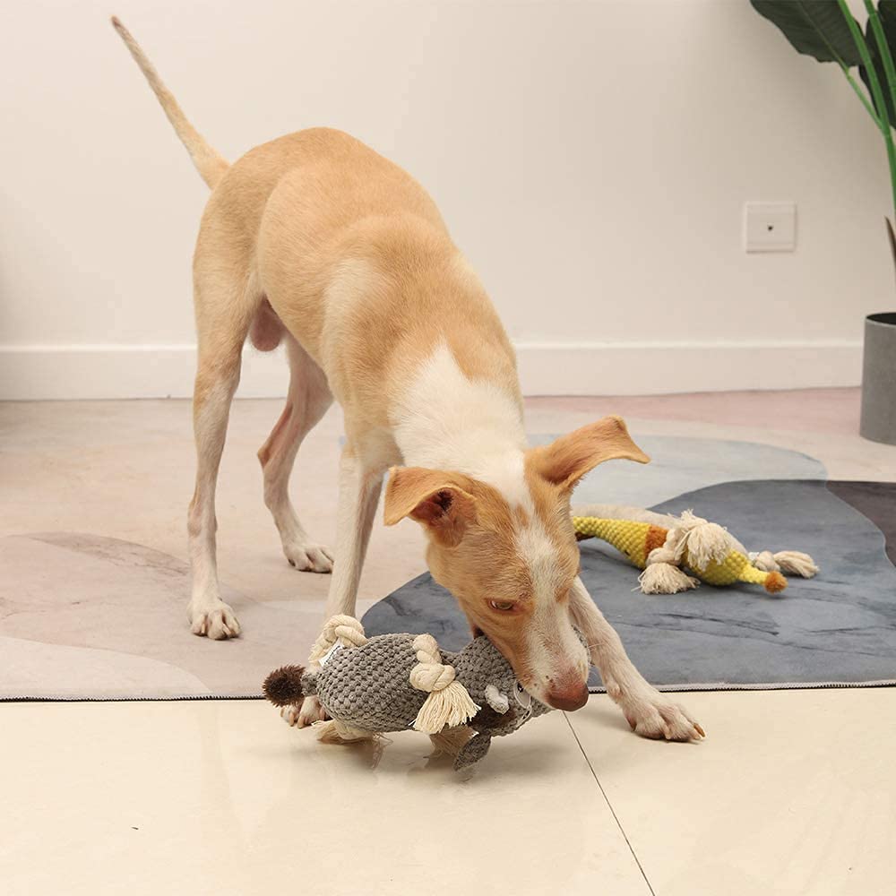 Sedioso Hundespielzeug, Tauziehen Plüschhundespielzeug, süßes quietschendes Hundespielzeug mit Crinkle-Papier, gefüllte Hundekauspielzeug für Welpen, kleine, mittlere, große Hunde (Grau(Donkey))