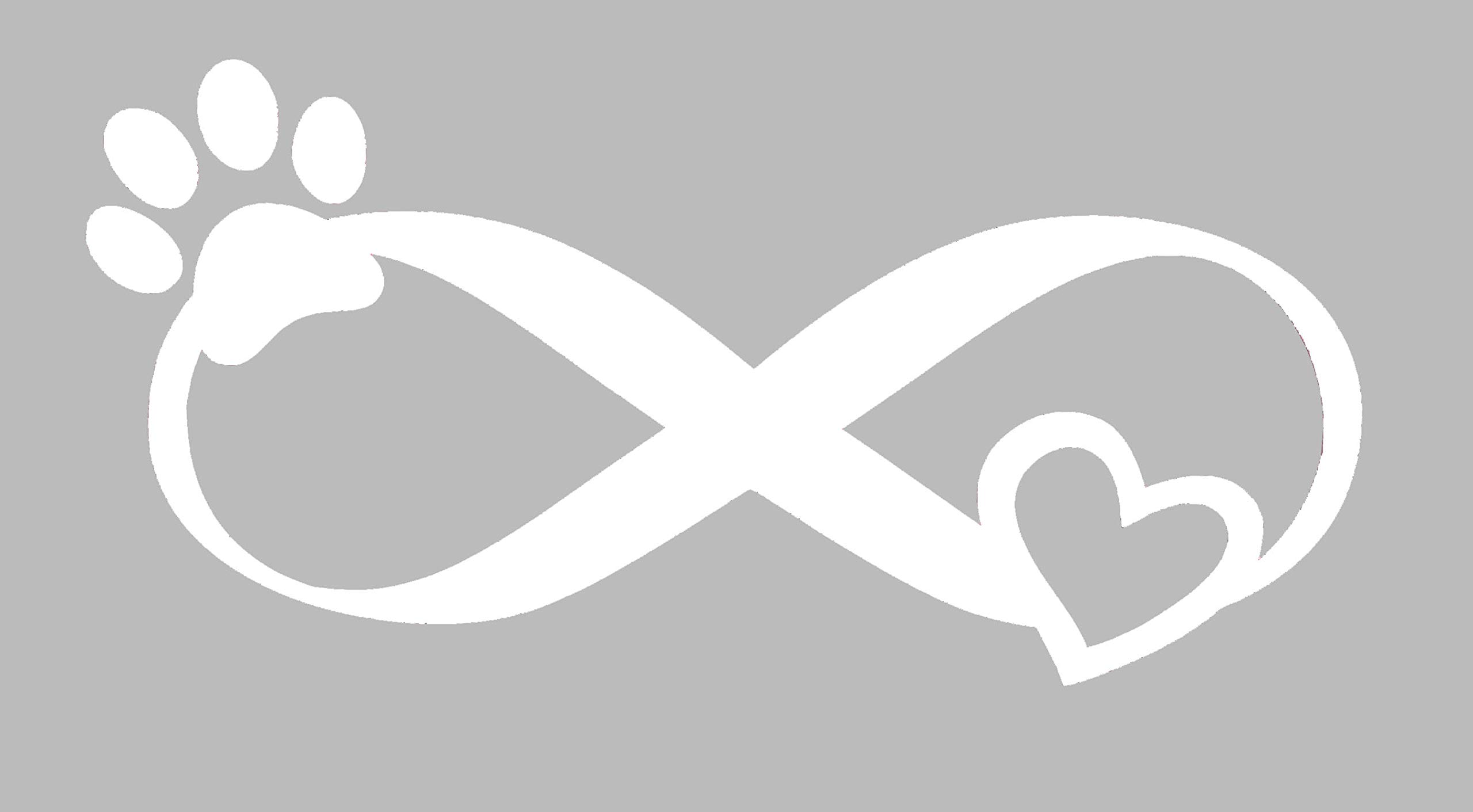 Amazon.com: WickedGoodz 模切寵物無限循環轉印貼紙- 寵物腳掌保險桿貼紙- 完美的狗或貓主人禮物: 汽車