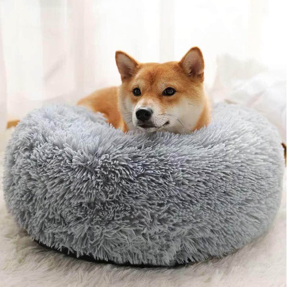 水星 ドナウ川 ハードウェア 犬 の クッション Adrienlombardo Com