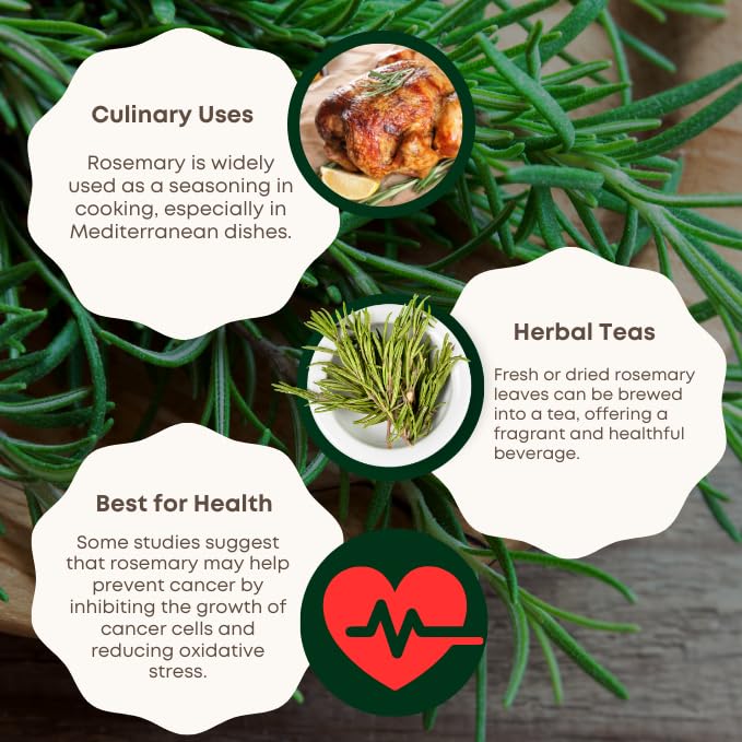 Image of Jaivik Uttarakhand - Green Leaves Tea, Rosemary Tea (100g each), Unique Blend Crafted Loose Leaf For Chai Lovers Across India, Combo (Pack Of 2)
