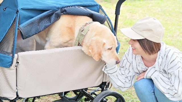 ibiyaya イビヤヤ アウトドアペットワゴン 多頭 キャリー カート イビヤヤ ibiyaya アウトドア ペットワゴン 多頭キャリー 折りたたみ