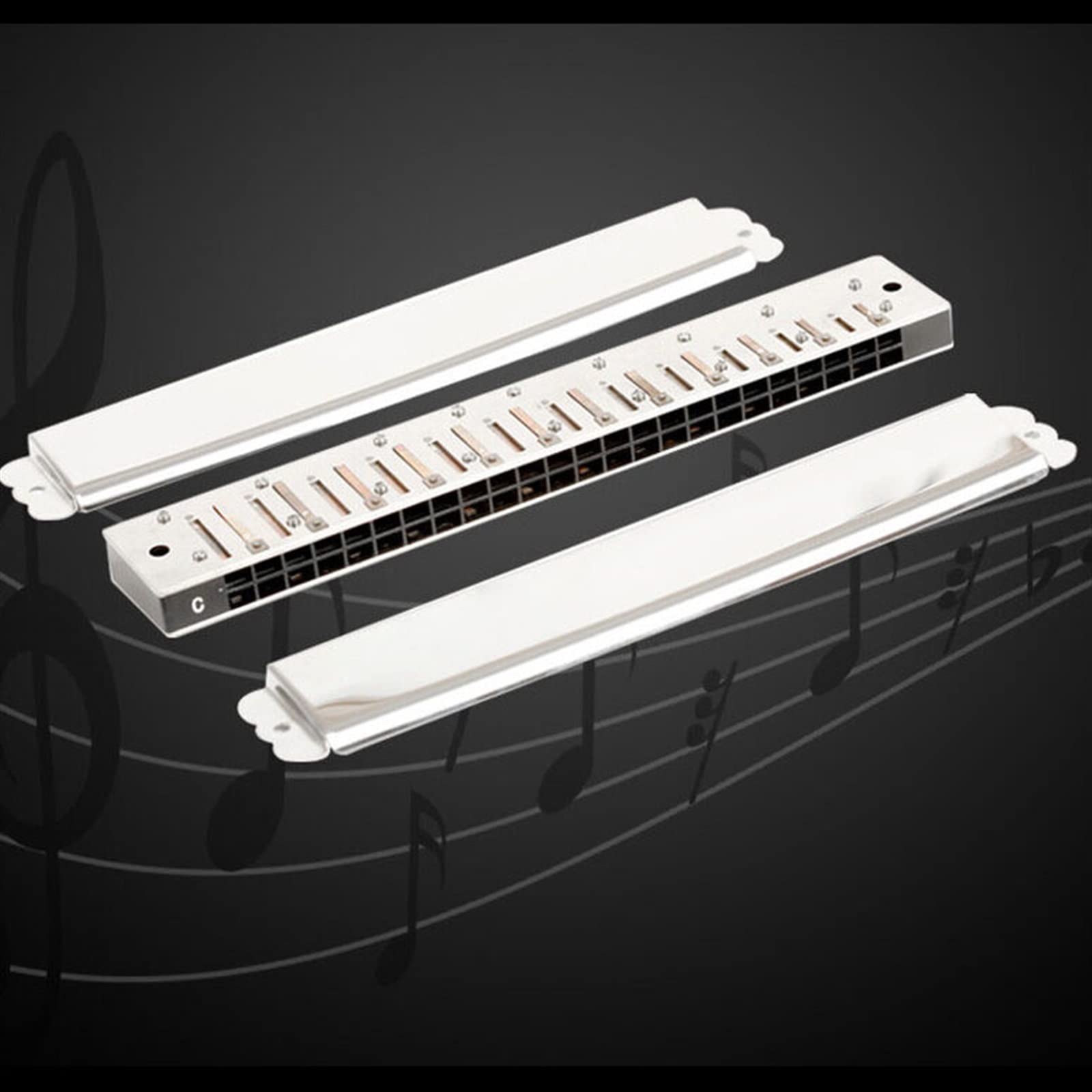 Harmonijka 24-dołkowa Profesjonalny Klucz Tremolo Polifonicznej Harmonijki Ustnej CG Harmonijka Dla Początkujących (Color : G key)