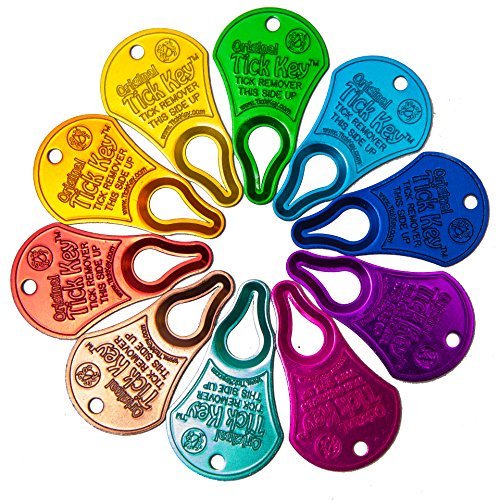 Tick Key Pack of 2 Assorted