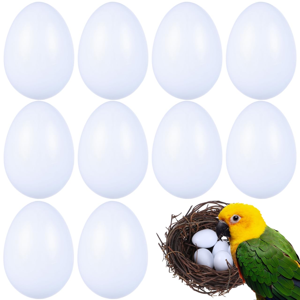 balacoo Lot de 10 œufs de pigeon, simulation d'œufs en plastique solide pour l'éclosion des pigeons, outil agricole pour l'élevage et l'entraînement des calopsittes et des pigeons de course