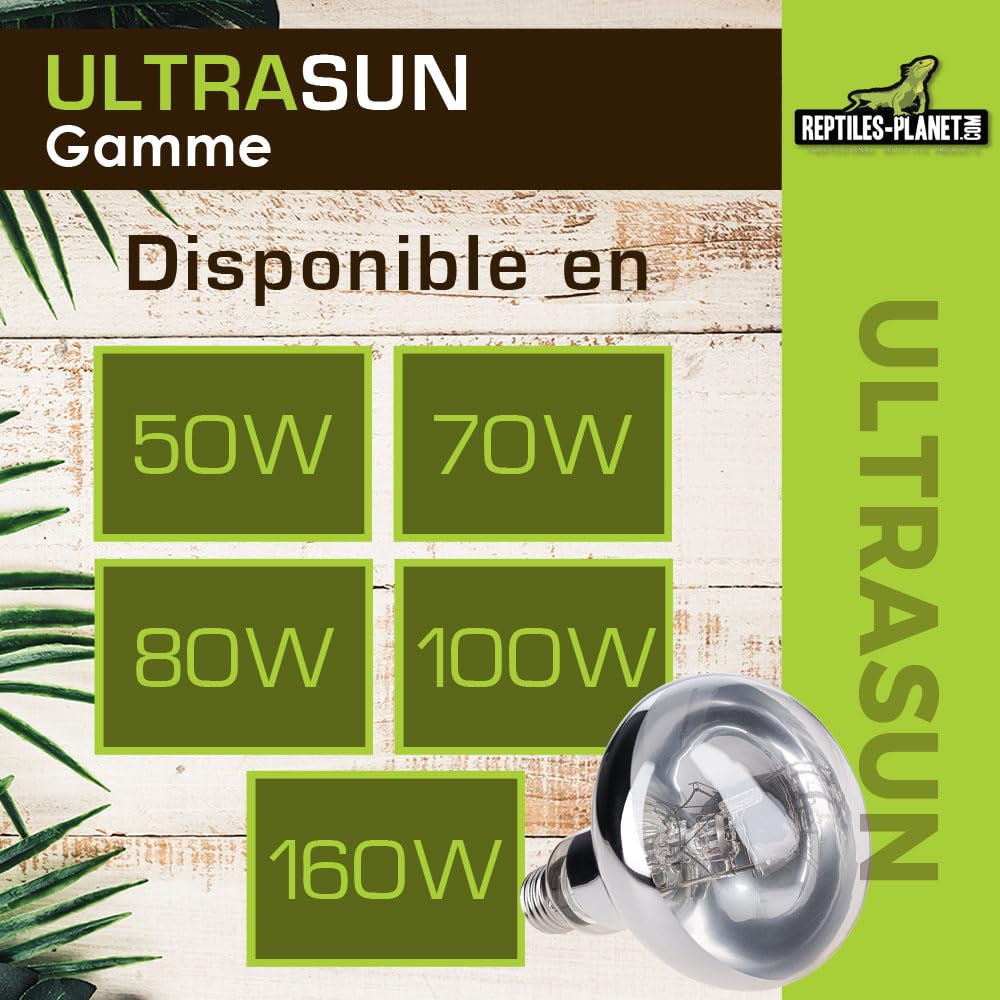 Reptiles Planet - Utrasun 70W - Lampadina UVA UVB per rettili