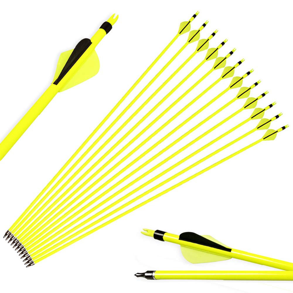 SHARROW 12pcs Freccia in Carbonio 30 Pollici Frecce da Caccia Spine 500 Tiro con L'Arco Freccia de Carbonio con Punte di Freccia da 100 Grani per Arco Ricurvo Compound
