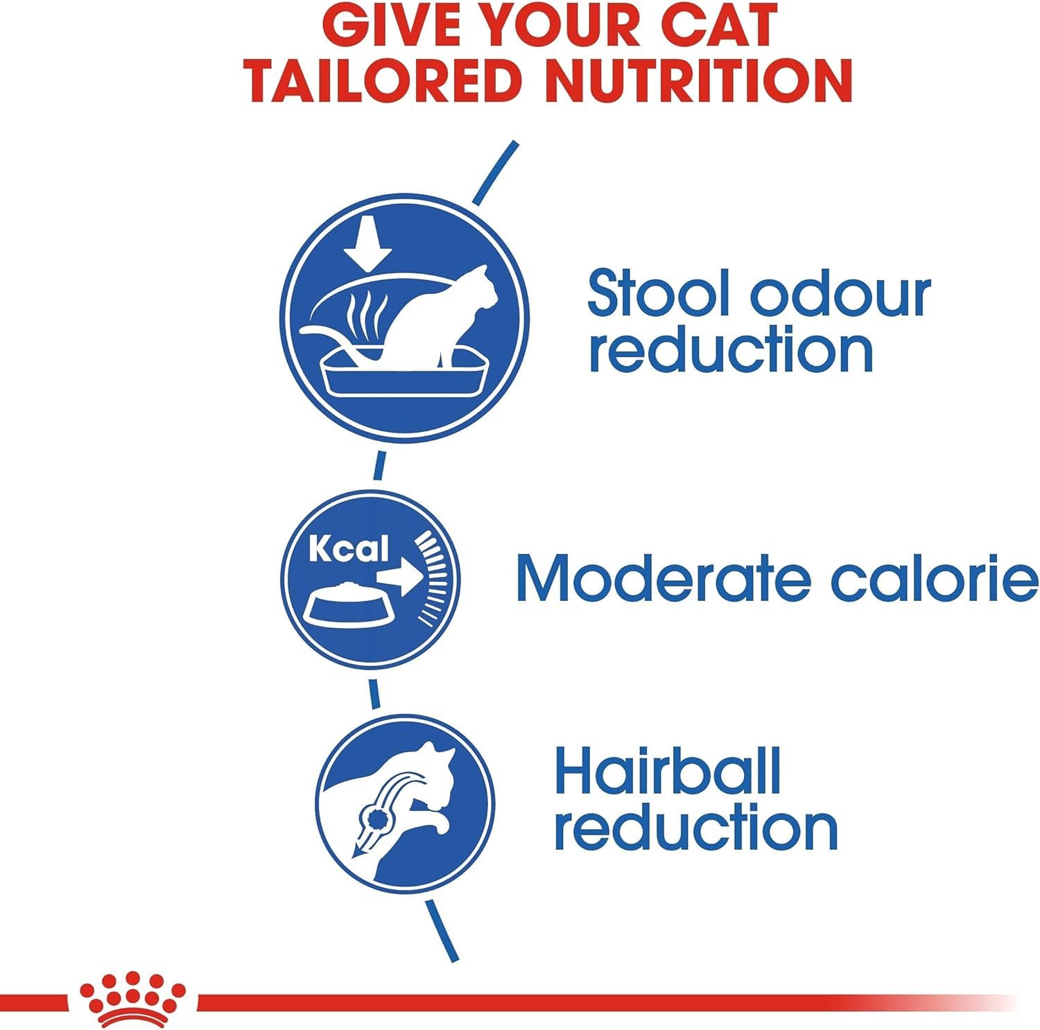 ROYAL CANIN 4kg Indoor 27 Comida para Gatos