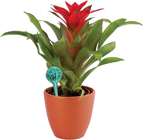 Miniatura 3 de Juego de globos de riego de 4 piezas, sistema de riego de plantas de vidrio soplado a mano colorido