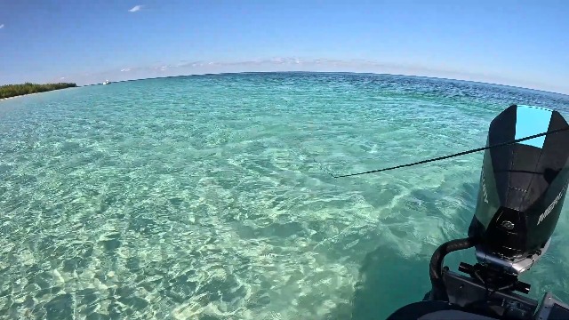 Amazon.com : SandShark Premium Stainless Steel Fluke Anchor