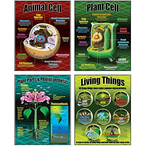 McDonald Publishing Life Science Poster Set (MC-P077)