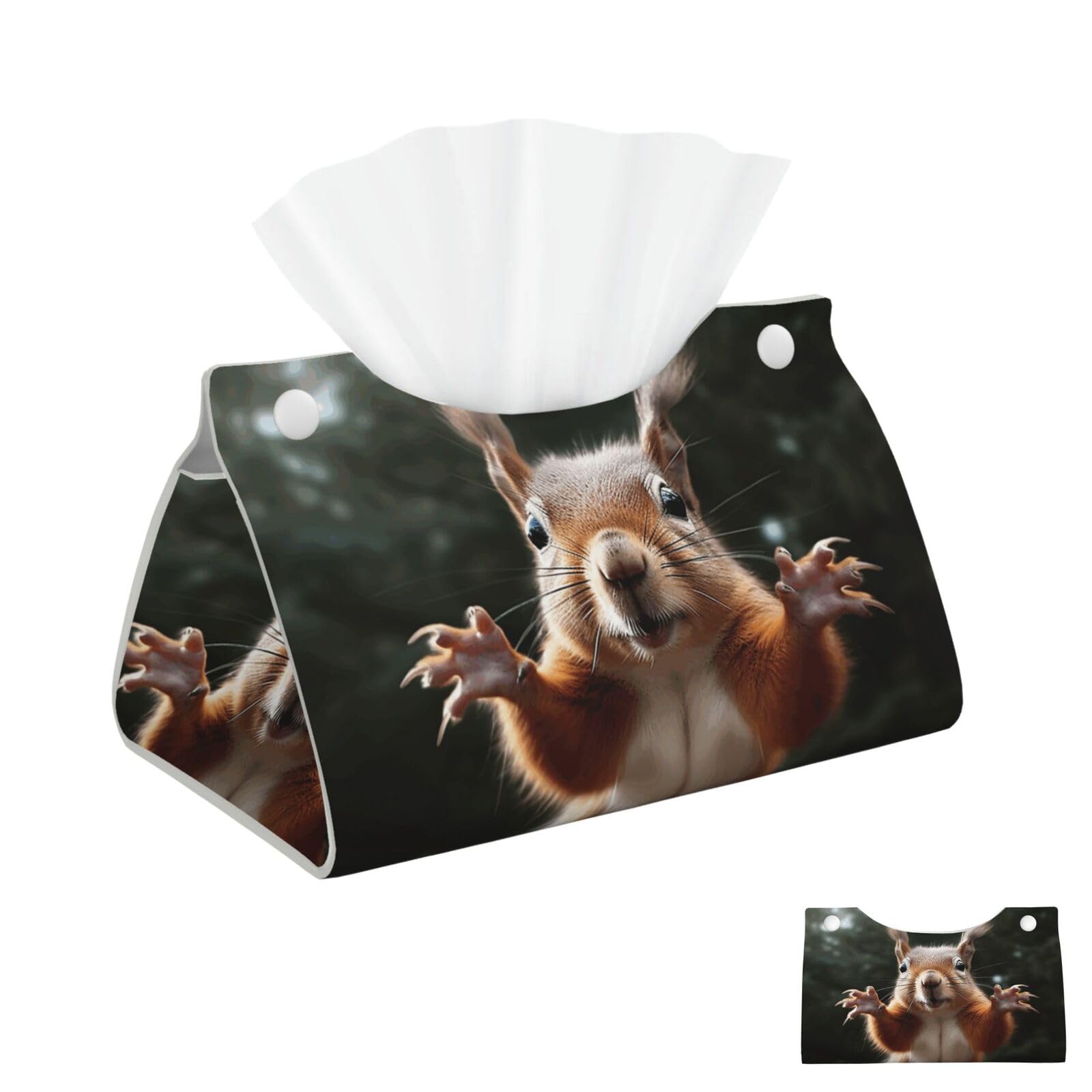Squirrel Funny Animal Tissue Box Cover Square Cube Boxes