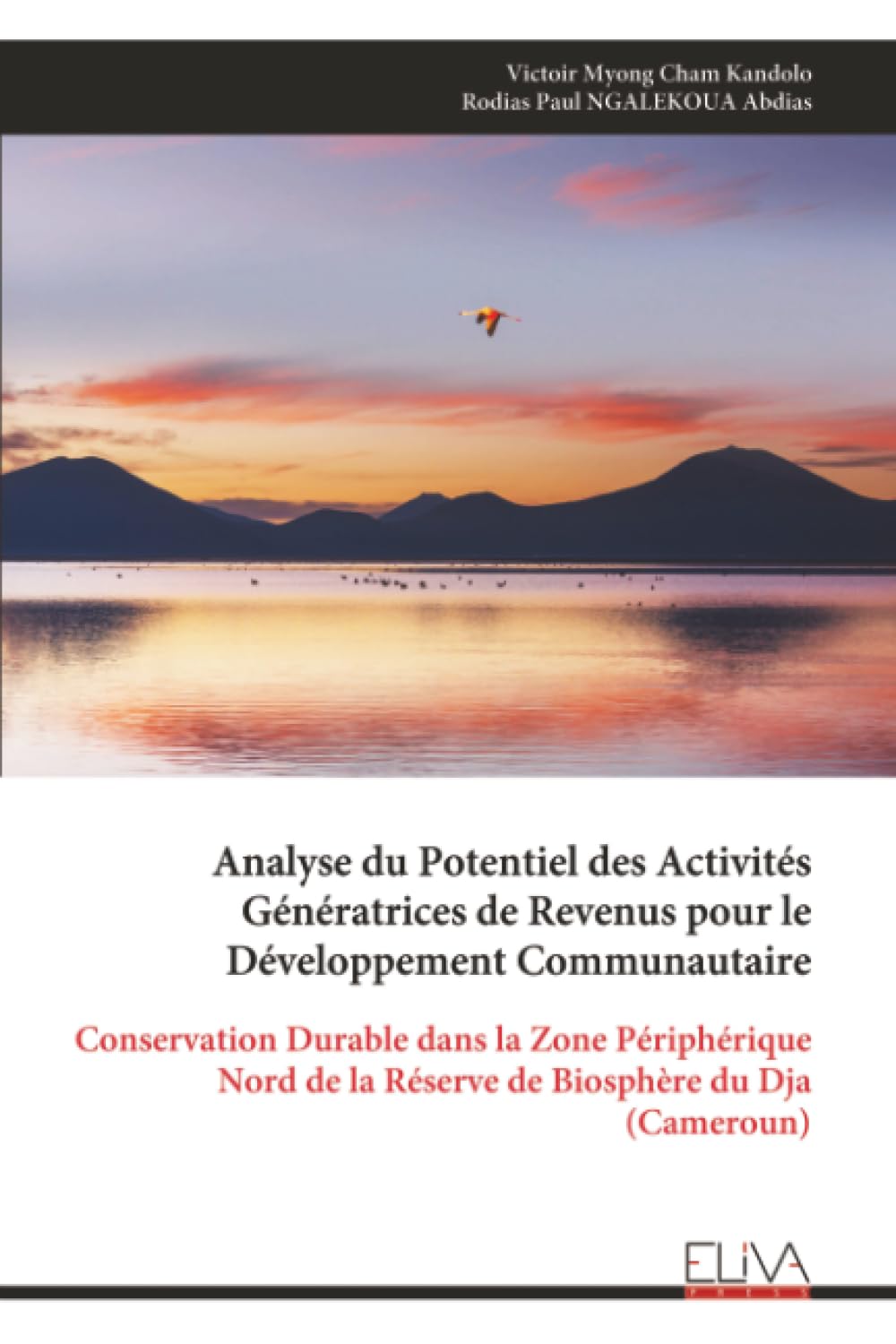 Analyse du Potentiel des Activités Génératrices de Revenus pour le Développement Communautaire: Conservation Durable dans la Zone Périphérique Nord de la Réserve de Biosphère du Dja (Cameroun)
