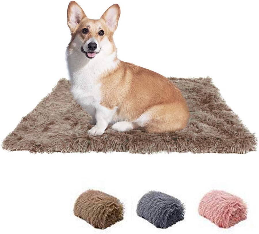 Giocattolo Per Cani Orso Benjamin - Peluche Con Squeaker - Foto 4